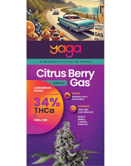Citrus Berry Gas