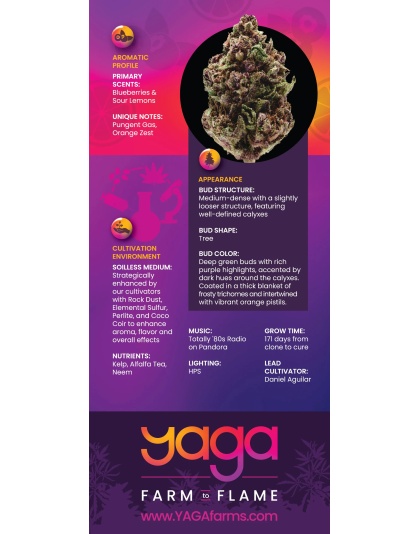 Citrus Berry Gas