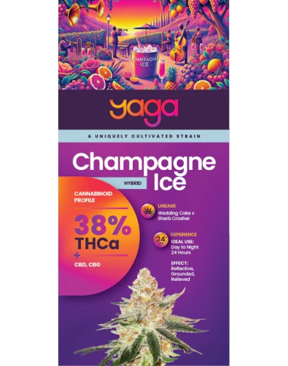 Champagne Ice