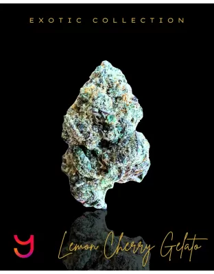 Lemon Cherry Gelato