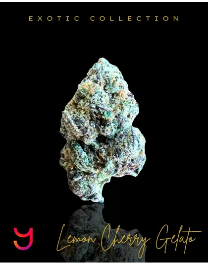 Lemon Cherry Gelato