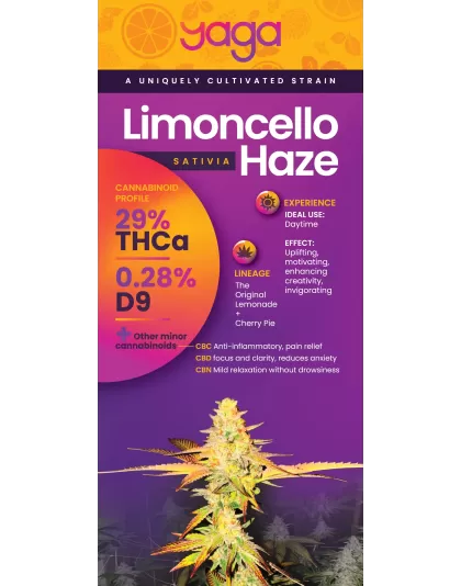 Limoncello Haze