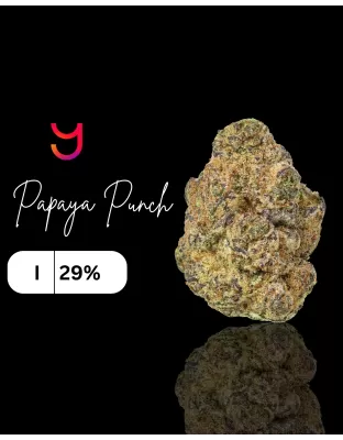 Papaya Punch