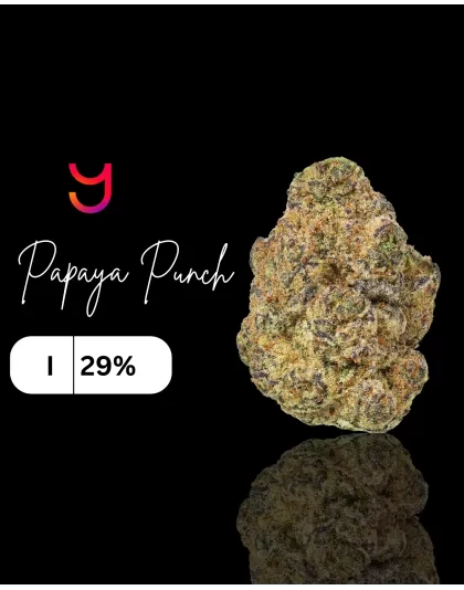 Papaya Punch