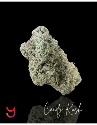 Candy Kush Runtz