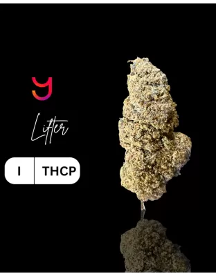 Lifter THCP