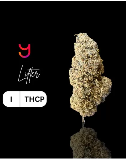 Lifter THCP