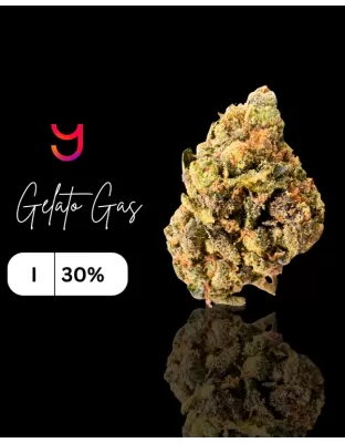 Gelato Gas