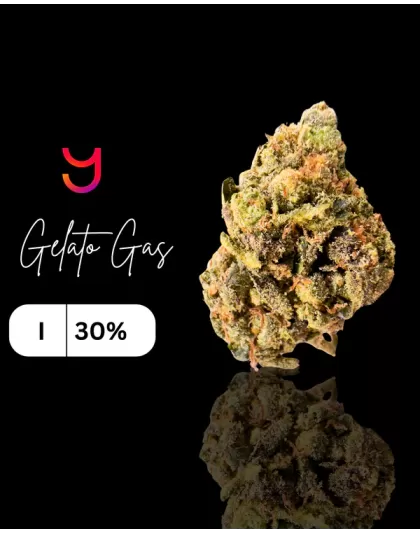 Gelato Gas