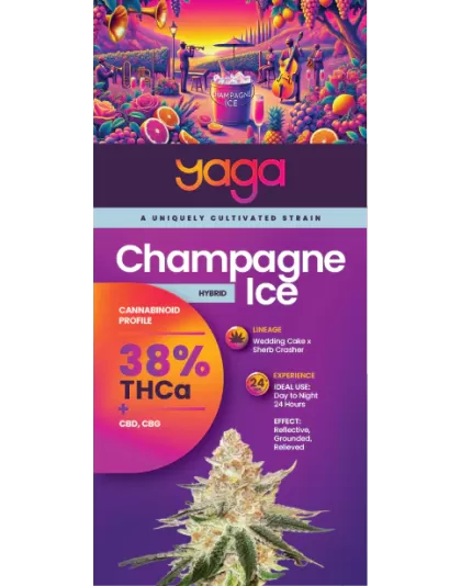 Champagne Ice