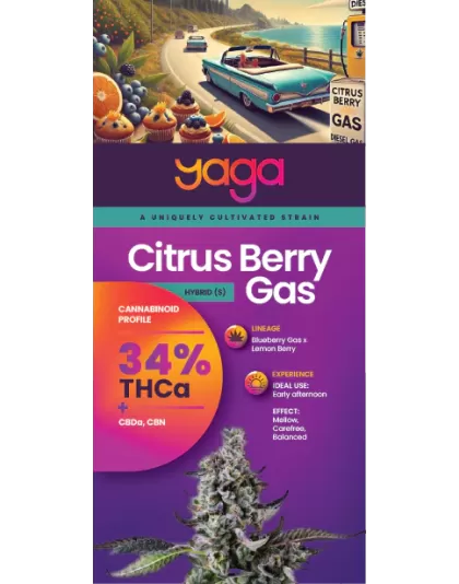 Citrus Berry Gas