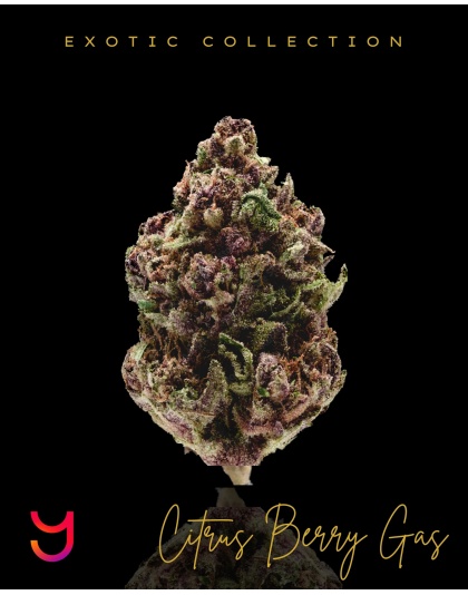 Citrus Berry Gas